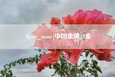 甘肃中国金牌18金