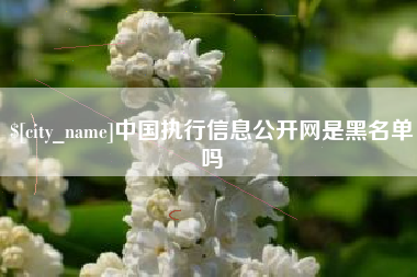 甘肃中国执行信息公开网是黑名单吗