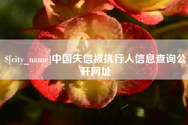 甘肃中国失信被执行人信息查询公开网址