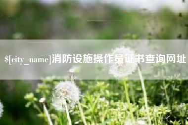 甘肃消防设施操作员证书查询网址