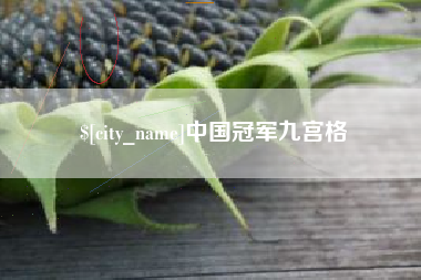 甘肃中国冠军九宫格