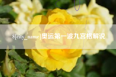 甘肃奥运第一波九宫格解说