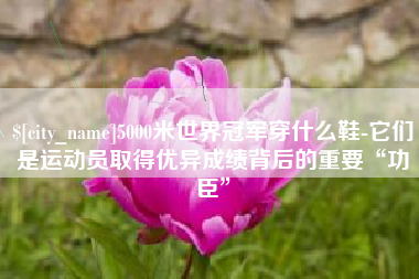 甘肃5000米世界冠军穿什么鞋-它们是运动员取得优异成绩背后的重要“功臣”