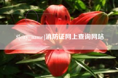 甘肃消防证网上查询网站