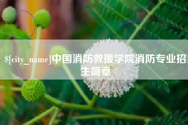 甘肃中国消防救援学院消防专业招生简章