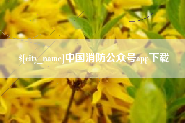 甘肃中国消防公众号app下载