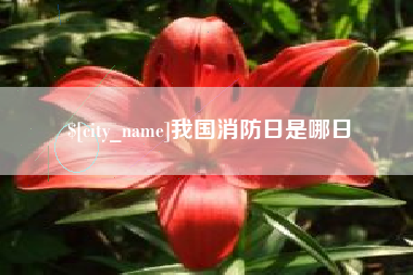 甘肃我国消防日是哪日