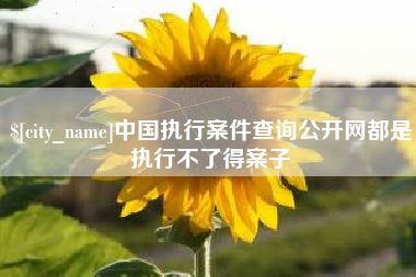 甘肃中国执行案件查询公开网都是执行不了得案子