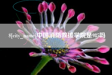 甘肃中国消防救援学院是985吗