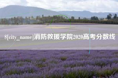 甘肃消防救援学院2020高考分数线