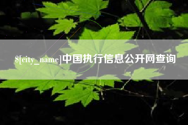 甘肃中国执行信息公开网查询