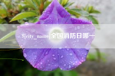 甘肃全国消防日哪一