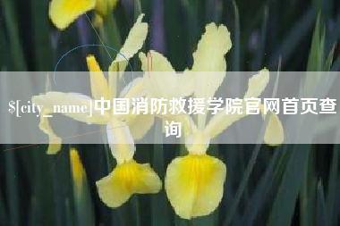 甘肃中国消防救援学院官网首页查询