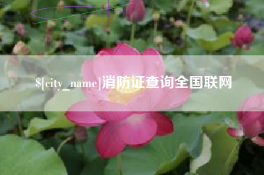 甘肃消防证查询全国联网