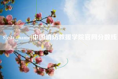 甘肃中国消防救援学院官网分数线