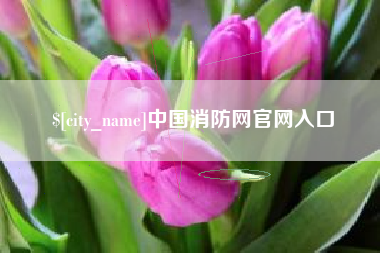 甘肃中国消防网官网入口