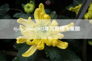 甘肃2022年九宫格飞星图