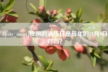 甘肃我国的消防日是每年的11月9日对吗？