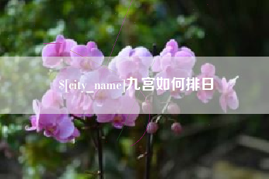 甘肃九宫如何排日