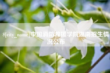 甘肃中国消防救援学院湖南招生情况公布