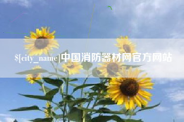 甘肃中国消防器材网官方网站