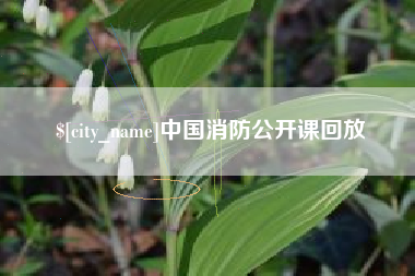 甘肃中国消防公开课回放