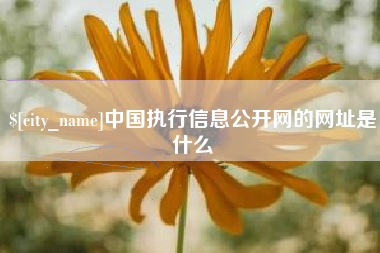 甘肃中国执行信息公开网的网址是什么