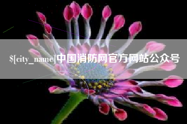 甘肃中国消防网官方网站公众号