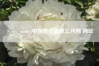 甘肃中国执行信息公开网 网址
