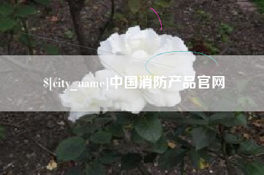 甘肃中国消防产品官网
