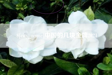 甘肃中国的几块金牌2021