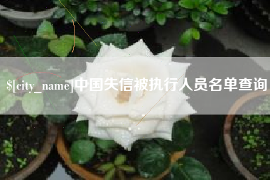 甘肃中国失信被执行人员名单查询
