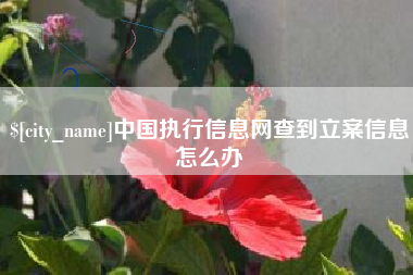 甘肃中国执行信息网查到立案信息怎么办
