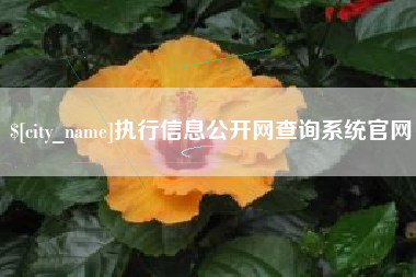 甘肃执行信息公开网查询系统官网