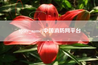 甘肃中国消防网平台