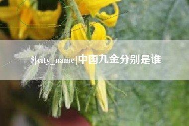 甘肃中国九金分别是谁