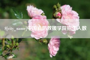 甘肃中国消防救援学院招生人数