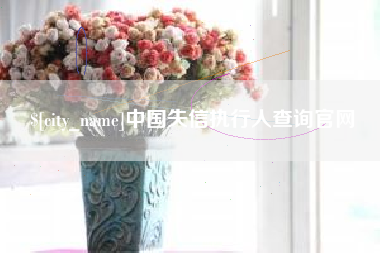 甘肃中国失信执行人查询官网