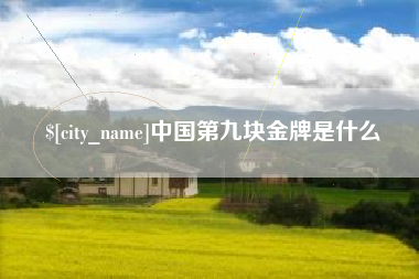 甘肃中国第九块金牌是什么