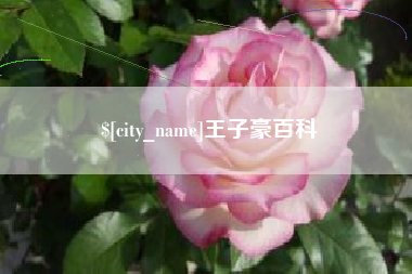 甘肃王子豪百科