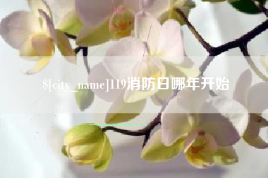 甘肃119消防日哪年开始
