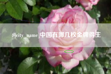 甘肃中国有哪几枚金牌得主