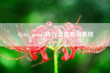 甘肃执行公告查询系统