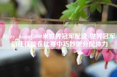 甘肃5000米世界冠军配速-世界冠军们往往能在比赛中巧妙地分配体力