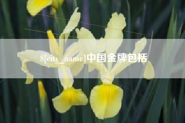 甘肃中国金牌包括