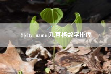 甘肃九宫格数字排序