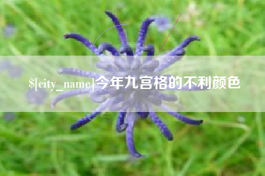 甘肃今年九宫格的不利颜色