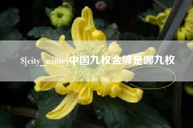 甘肃中国九枚金牌是哪九枚