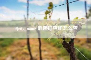 甘肃消防证查询怎么查
