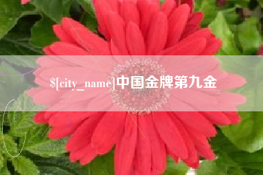 甘肃中国金牌第九金
